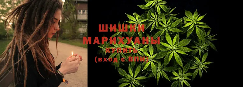 Конопля марихуана  купить закладку  Баймак 